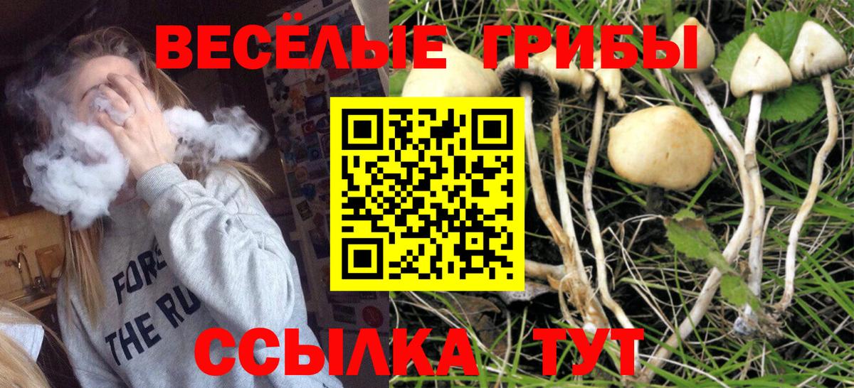 Галлюциногенные грибы Psilocybe  Псилоцибиновые грибы мухоморы  Вход с VPN  Рославль 