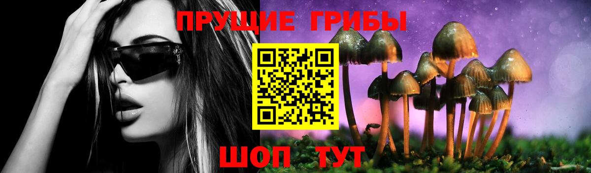 Галлюциногенные грибы MAGIC MUSHROOMS Рославль